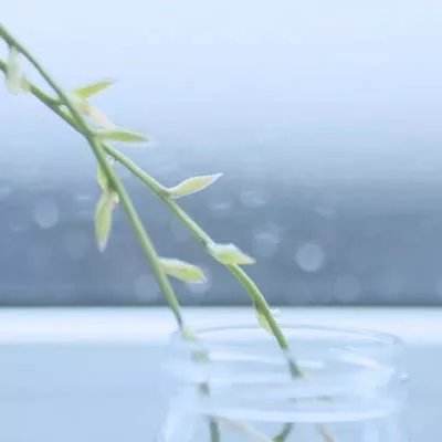恐怖人偶来袭躺平发育游戏下载